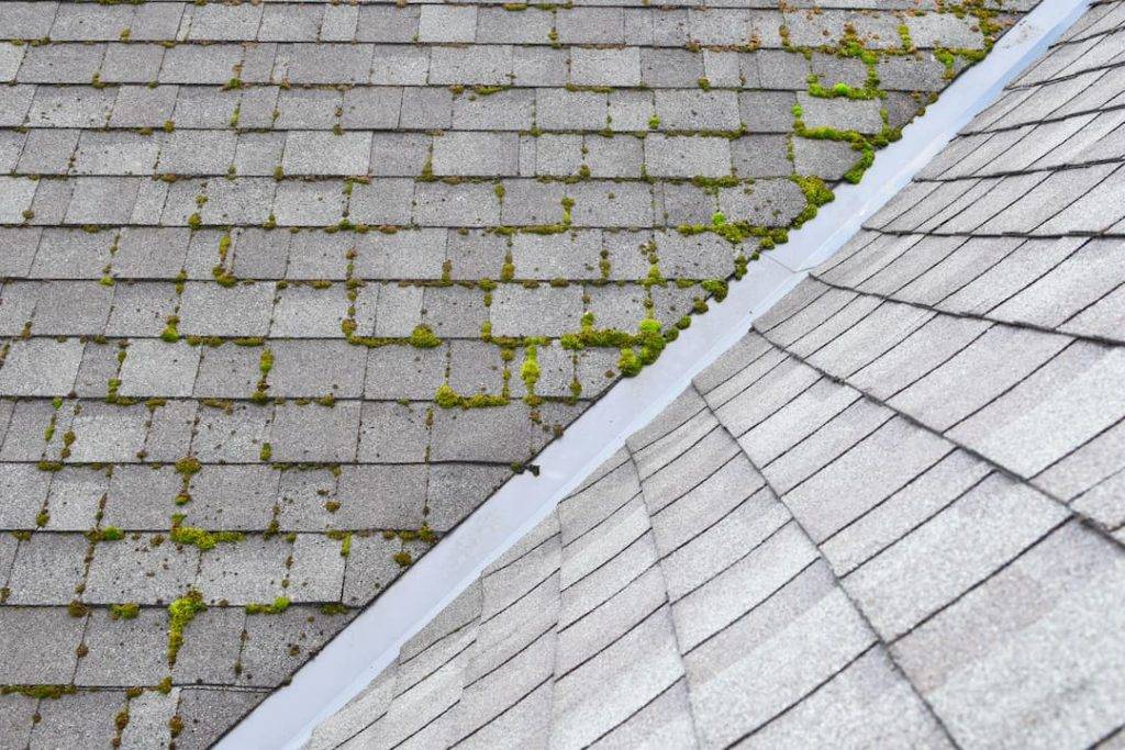 Clean Roof Tiles